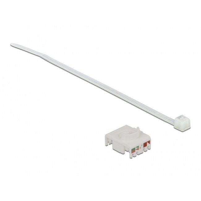 Delock Cable Connector RJ45 jack to Cat.6A LSA with protective cap waterproof