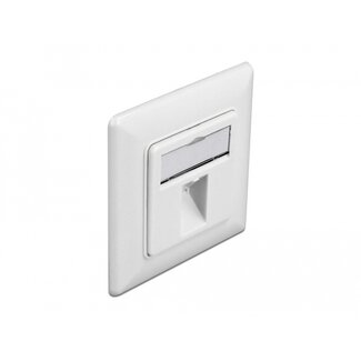 DeLOCK Delock Keystone Wall Outlet 1 port