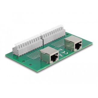DeLOCK Delock RJ50 2 x female to 2 x Terminal Block with push-button for DIN rail