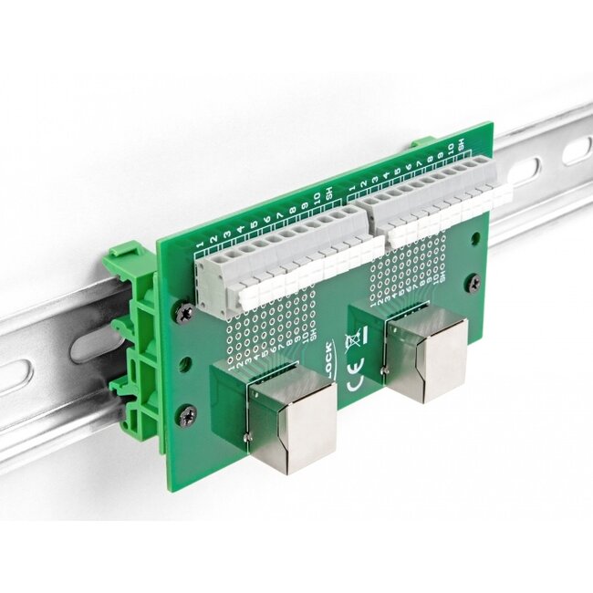 Delock RJ50 2 x female to 2 x Terminal Block with push-button for DIN rail