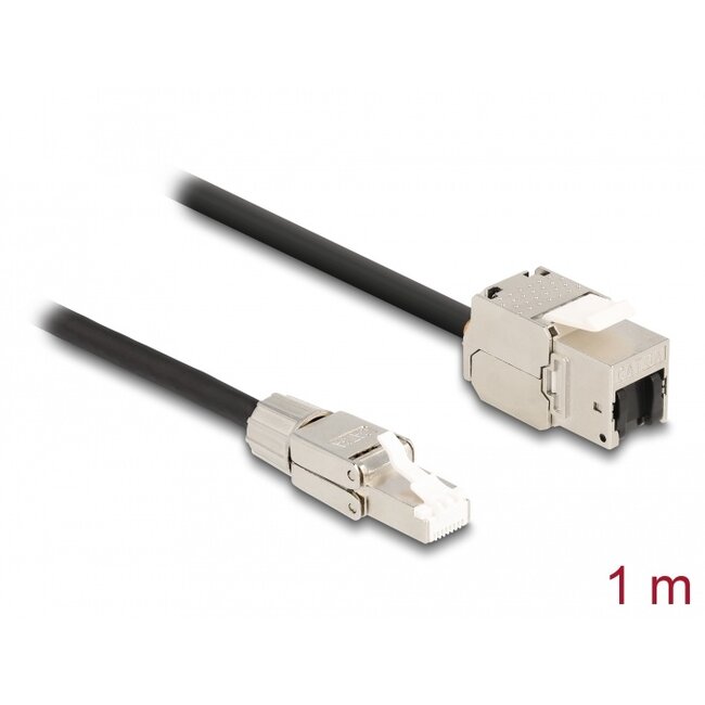Delock Cable RJ45 plug field assembly to Keystone Module RJ45 jack Cat.6A 1 m