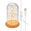 Goobay Glass Bell with Micro LED Light Chain