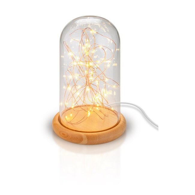 Goobay Glass Bell with Micro LED Light Chain