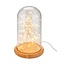 Goobay Glass Bell with Micro LED Light Chain
