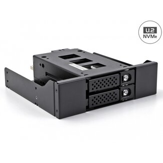 DeLOCK Delock Slim Bay Mobile Rack for 2 x 2.5″ U.2 NVMe SSD with 5.25″ frame