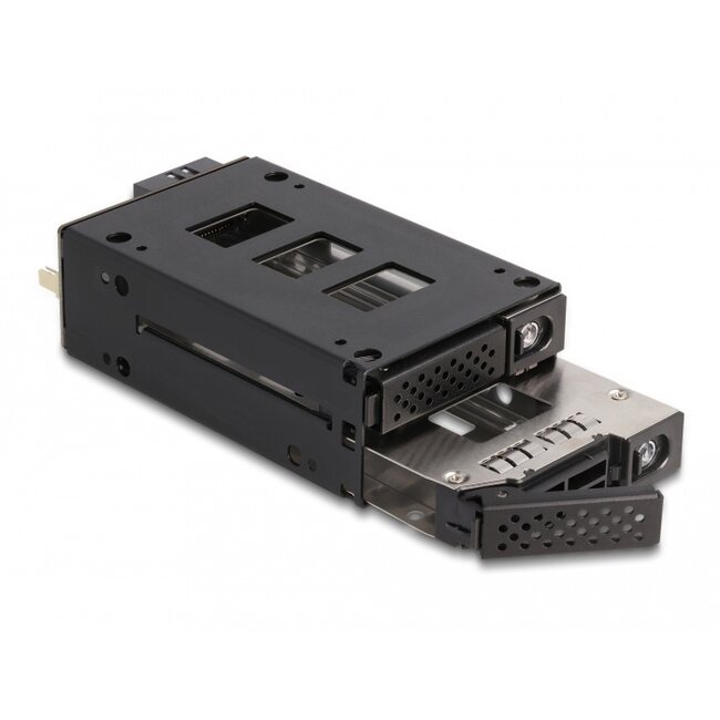 Delock Slim Bay Mobile Rack for 2 x 2.5″ U.2 NVMe SSD with 5.25″ frame