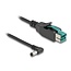 Delock PoweredUSB cable male 12 V to DC 5.5 x 2.5 mm male angled 2 m