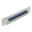 Delock 10″ Fiber Optic Patch Panel 12 Port SC Simplex blue 1U grey