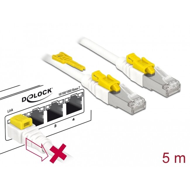 Delock Cable RJ45 Secure Cat.6A 5 m