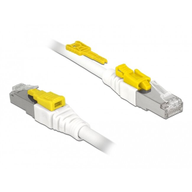 Delock Cable RJ45 Secure Cat.6A 5 m