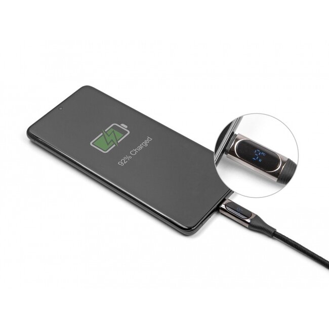 Delock USB 2.0 Cable USB Type-C™ male to male PD 3.0 100 W with power indication 2 m