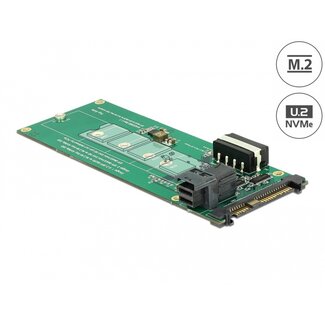 DeLOCK Delock Converter U.2 SFF-8639 / SFF-8643 NVMe > 1 x M.2 Key M