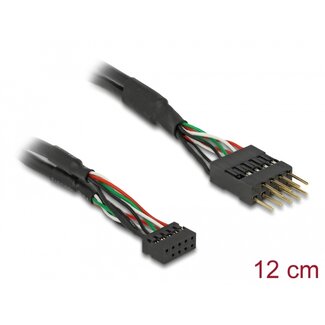 DeLOCK Delock Cable USB 2.0 pin header female 2.00 mm 10 pin > USB 2.0 pin header male 2.54 mm 10 pin 12 cm