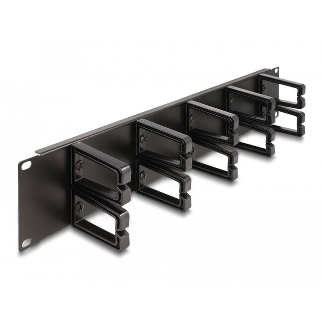 Delock 19″ Cable Management Routing Panel with 10 plastic hooks 2U black