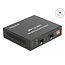Delock Media Converter 10GBase-R SFP+ to SFP+