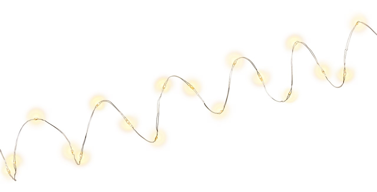Pro Zilver wire light chain with 20 LEDs incl. timer