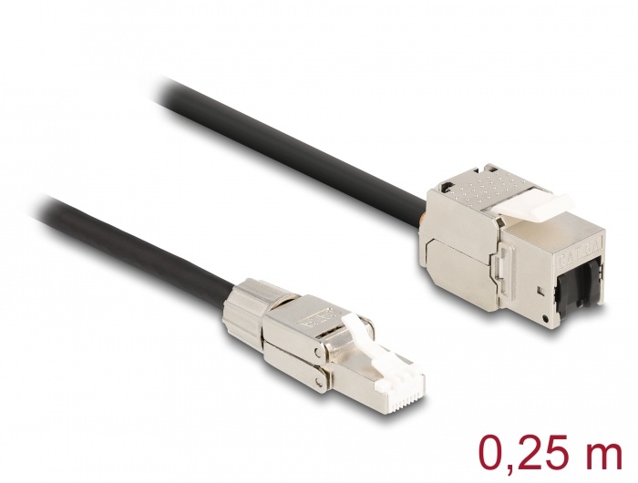 DeLOCK 87203, 0,25 m, Cat6a, S/FTP (S-STP), RJ-45, RJ-45