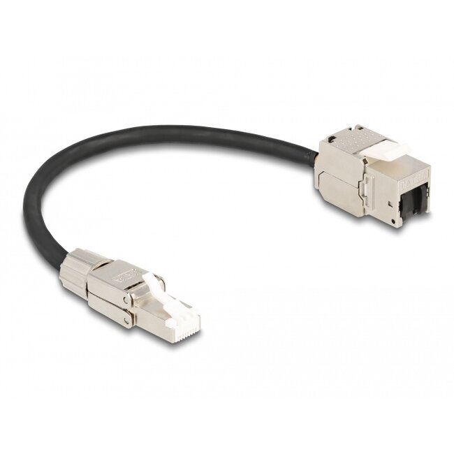 Delock Cable RJ45 plug field assembly to Keystone Module RJ45 jack Cat.6A 25 cm