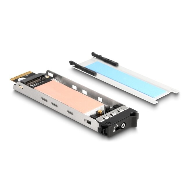 Delock Mobile Rack PCI Express Card for 1 x M.2 NMVe SSD - Low Profile Form Factor