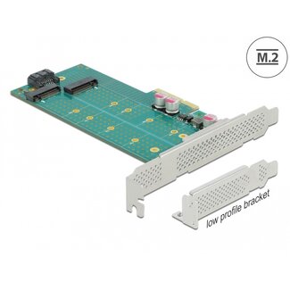DeLOCK Delock PCI Express x4 Card to 1 x M.2 Key B + 1 x NVMe M.2 Key M - Low Profile Form Factor