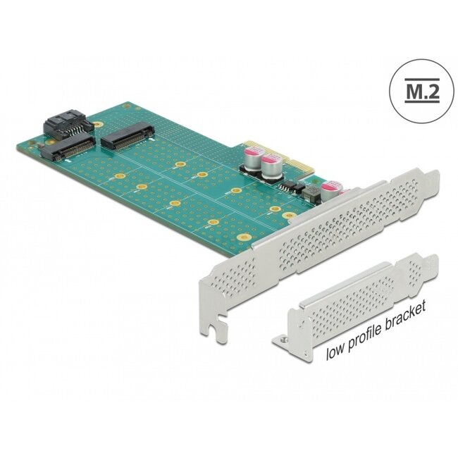 Delock PCI Express x4 Card to 1 x M.2 Key B + 1 x NVMe M.2 Key M - Low Profile Form Factor
