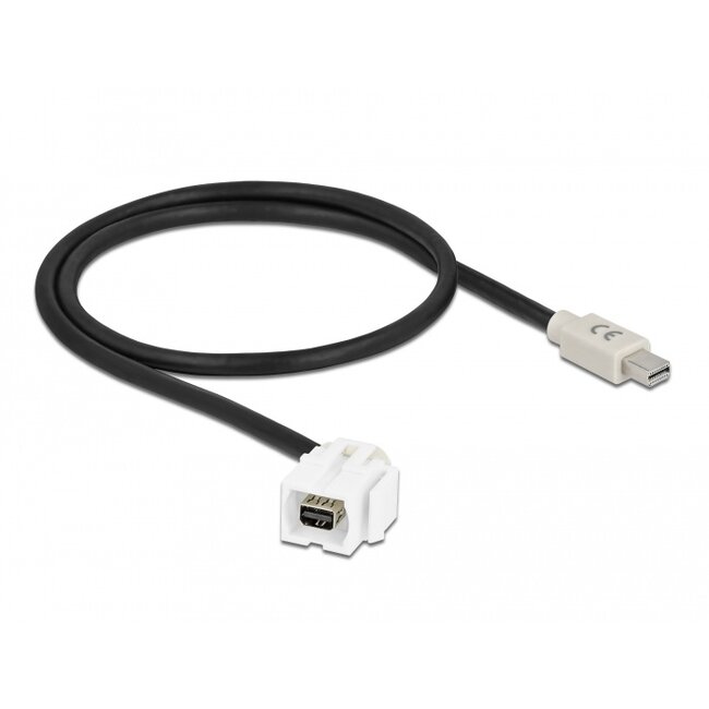 Delock Keystone Module mini DisplayPort female 110° > mini DisplayPort male with cable white