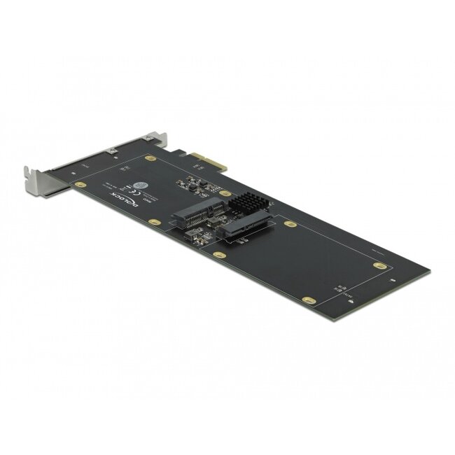 Delock PCI Express x2 Card for 4 x SATA HDD / SSD RAID