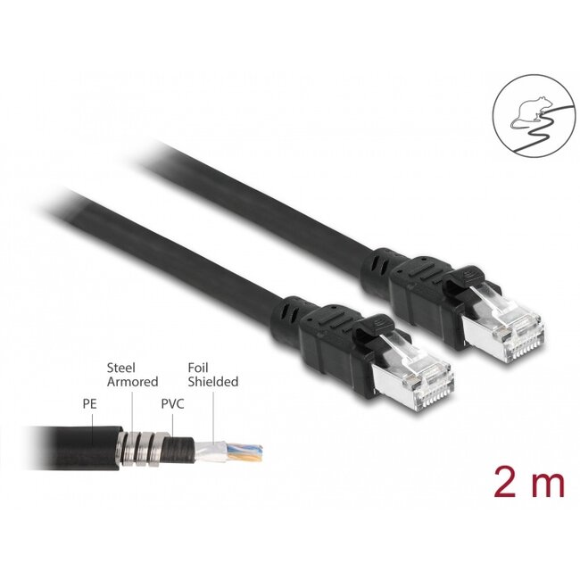 Delock Network cable RJ45 Cat.6A F/UTP with inner metal sheath 2 m