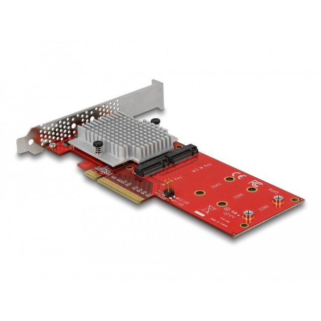 Delock PCI Express x8 Card to 2 x internal NVMe M.2 Key M - Low Profile Form Factor