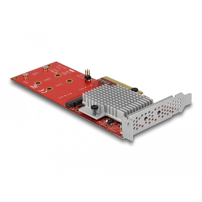 Delock PCI Express x8 Card to 2 x internal NVMe M.2 Key M - Low Profile Form Factor