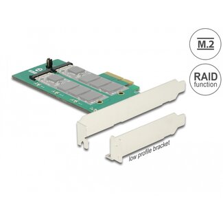 DeLOCK Delock PCI Express Card > 2 x internal M.2 Key B with RAID - Low Profile Form Factor