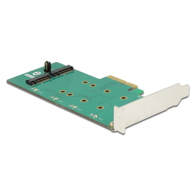 Delock PCI Express Card > 2 x internal M.2 Key B with RAID - Low Profile Form Factor