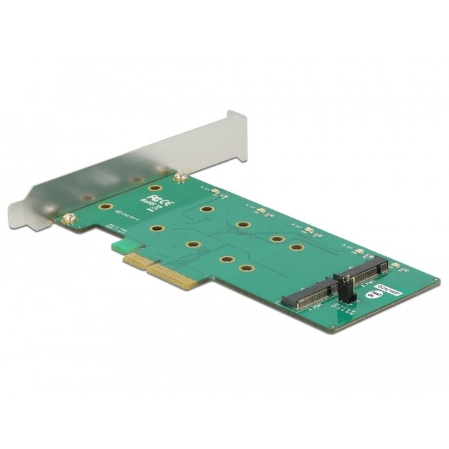 Delock PCI Express Card > 2 x internal M.2 Key B with RAID - Low Profile Form Factor