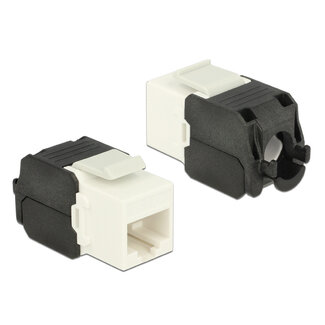 DeLOCK Delock Keystone Module RJ45 jack > LSA Cat.6A UTP white