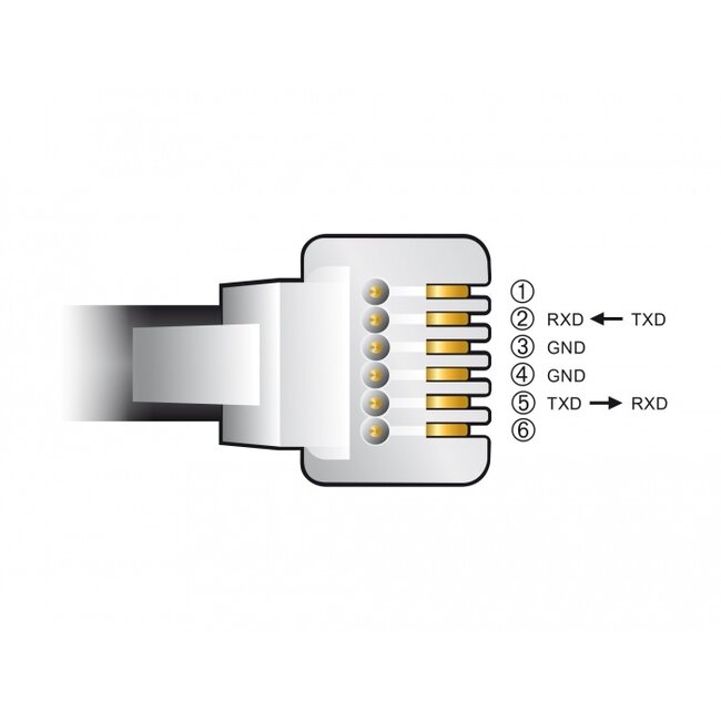 Delock Adapter cable USB Type-A to Serial RS-232 RJ12 with ESD potection Skywatcher 2 m