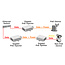 Delock 10 Gigabit PoE+ Injector 802.3at 30 W
