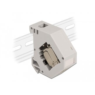 DeLOCK Delock DIN rail Adapter with Keystone Module RJ45 jack Cat.6A LSA