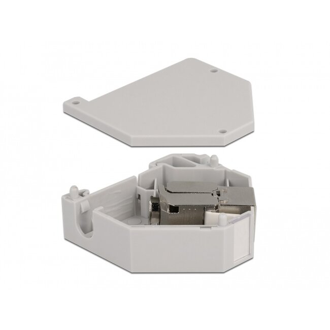 Delock DIN rail Adapter with Keystone Module RJ45 jack Cat.6A LSA