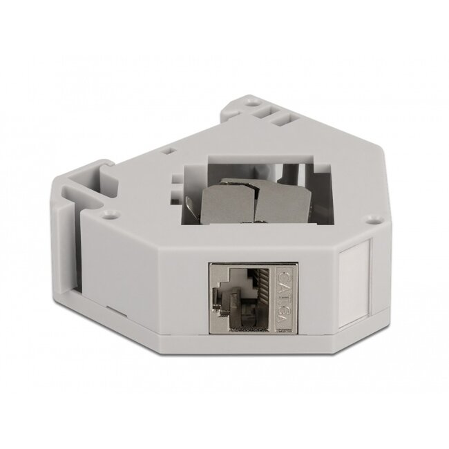 Delock DIN rail Adapter with Keystone Module RJ45 jack Cat.6A LSA