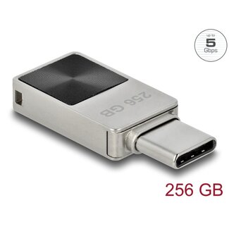 DeLOCK Delock Mini USB 5 Gbps USB-C™ Memory Stick 256 GB - Metal Housing