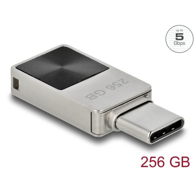 Delock Mini USB 5 Gbps USB-C™ Memory Stick 256 GB - Metal Housing