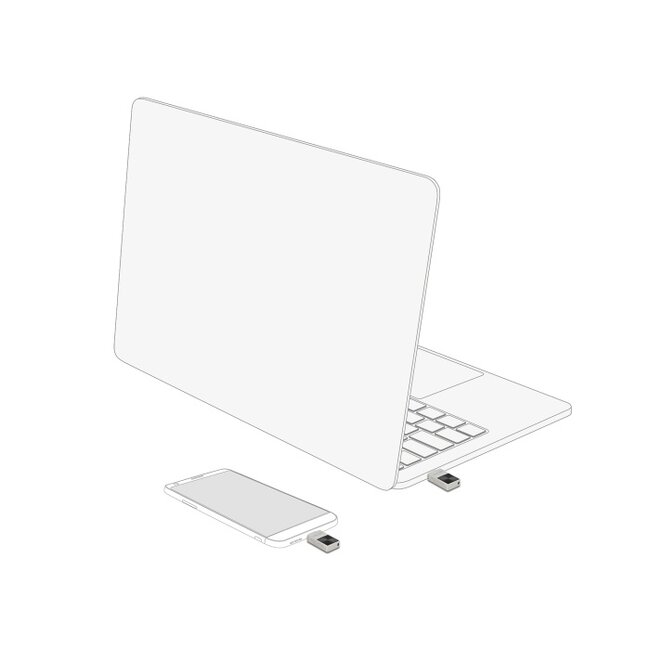 Delock Mini USB 5 Gbps USB-C™ Memory Stick 256 GB - Metal Housing