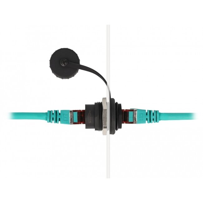 Delock RJ45 Cat.6 built-in connector with protective cap IP67 dust and waterproof