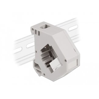 DeLOCK Delock DIN rail Adapter with Keystone USB 2.0 Type-A female to USB 2.0 Type-A female