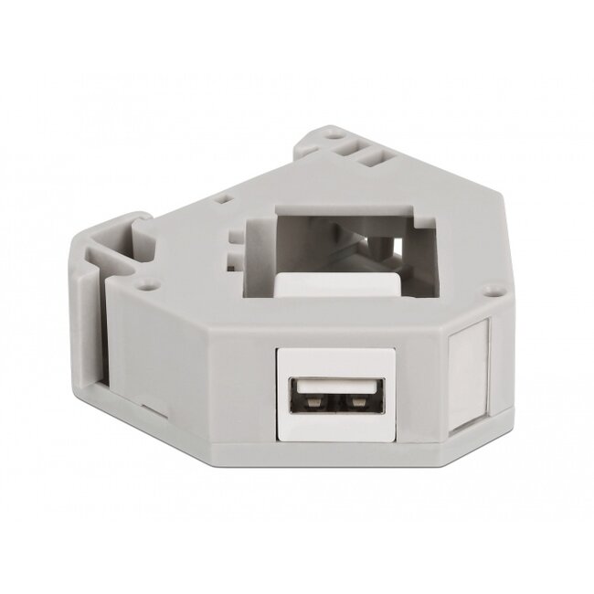 Delock DIN rail Adapter with Keystone USB 2.0 Type-A female to USB 2.0 Type-A female