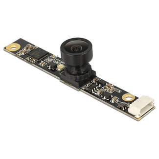 DeLOCK Delock USB 2.0 Camera Module 5.04 mega pixel 80° fix focus