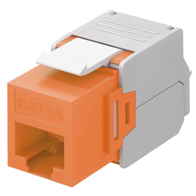 Goobay Keystone Module RJ45 CAT 6A, UTP