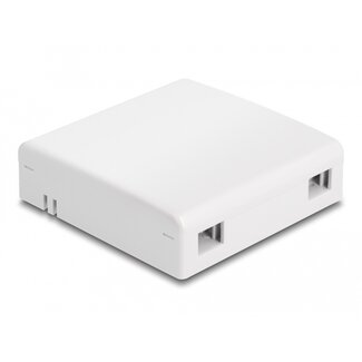 DeLOCK Delock Optical Fiber Connection Box for wall mounting for 2 x SC Simplex or LC Duplex white