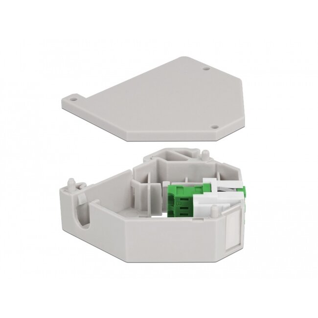 Delock DIN rail Adapter with Keystone LC Duplex female to LC Duplex female green