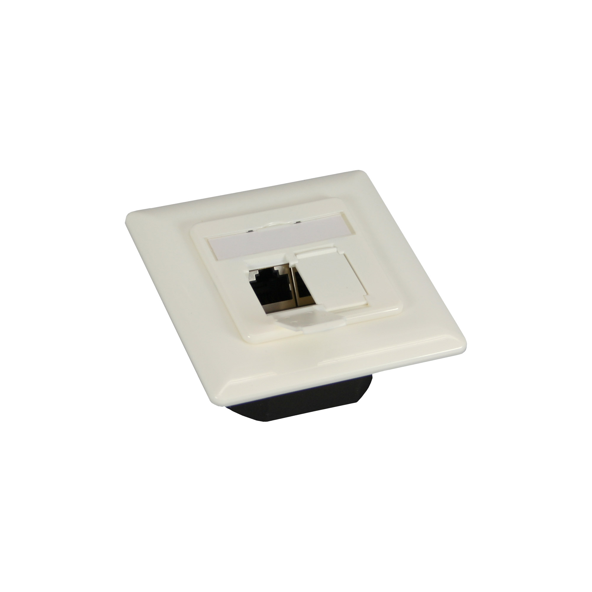 InLine® Cat. 6 aansluitdoos, 2x RJ45 socket, RAL9010 reinwit, horizontaal |